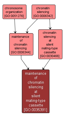GO:0035391 - maintenance of chromatin silencing at silent mating-type cassette (interactive image map)