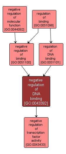GO:0043392 - negative regulation of DNA binding (interactive image map)