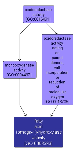 GO:0008393 - fatty acid (omega-1)-hydroxylase activity (interactive image map)