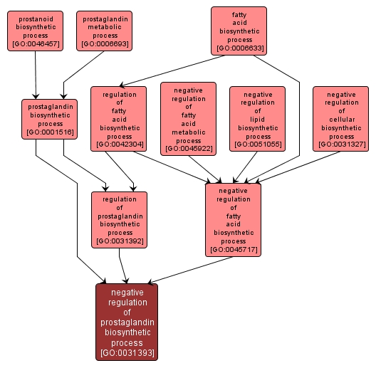 GO:0031393 - negative regulation of prostaglandin biosynthetic process (interactive image map)