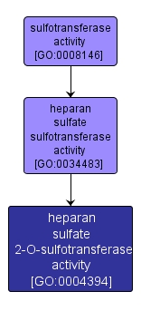 GO:0004394 - heparan sulfate 2-O-sulfotransferase activity (interactive image map)