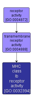 GO:0032394 - MHC class Ib receptor activity (interactive image map)