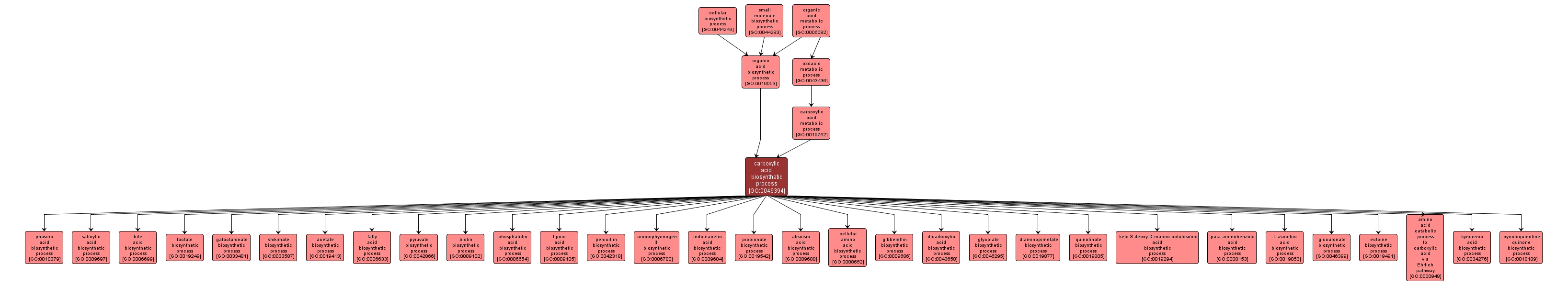 GO:0046394 - carboxylic acid biosynthetic process (interactive image map)