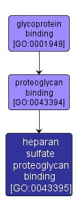 GO:0043395 - heparan sulfate proteoglycan binding (interactive image map)