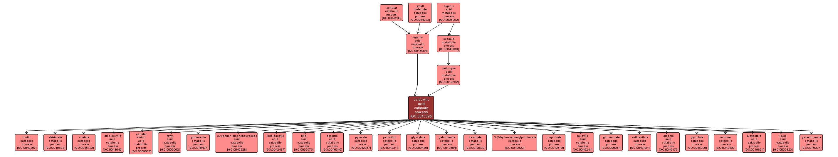 GO:0046395 - carboxylic acid catabolic process (interactive image map)