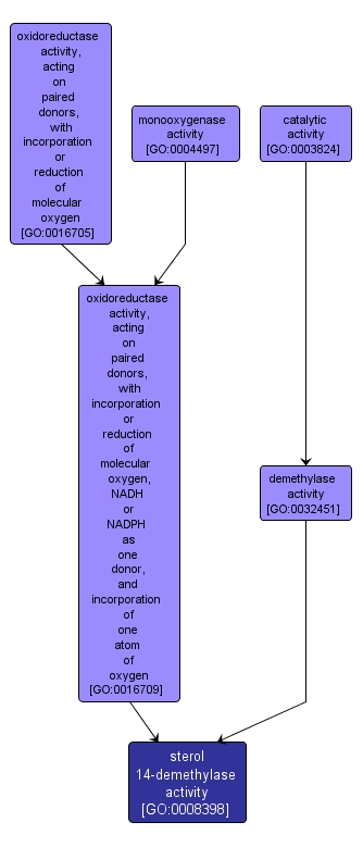 GO:0008398 - sterol 14-demethylase activity (interactive image map)