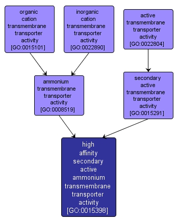 GO:0015398 - high affinity secondary active ammonium transmembrane transporter activity (interactive image map)