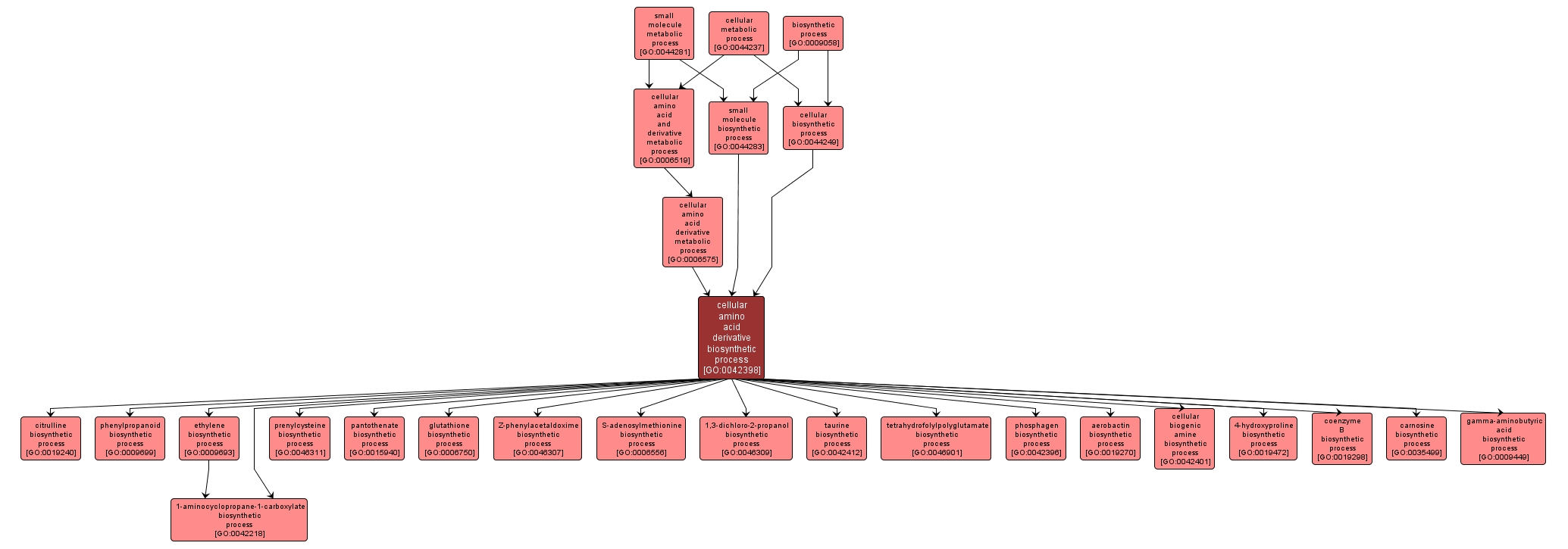 GO:0042398 - cellular amino acid derivative biosynthetic process (interactive image map)