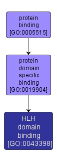 GO:0043398 - HLH domain binding (interactive image map)