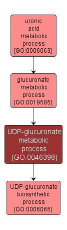 GO:0046398 - UDP-glucuronate metabolic process (interactive image map)