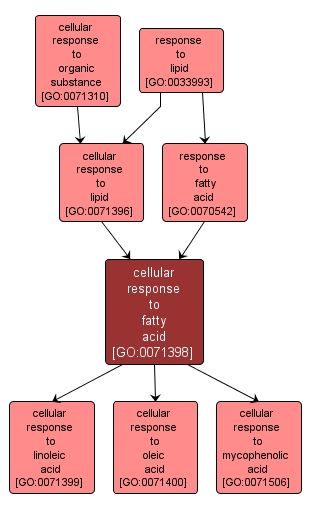 GO:0071398 - cellular response to fatty acid (interactive image map)