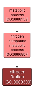 GO:0009399 - nitrogen fixation (interactive image map)