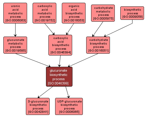 GO:0046399 - glucuronate biosynthetic process (interactive image map)