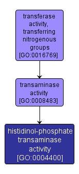 GO:0004400 - histidinol-phosphate transaminase activity (interactive image map)