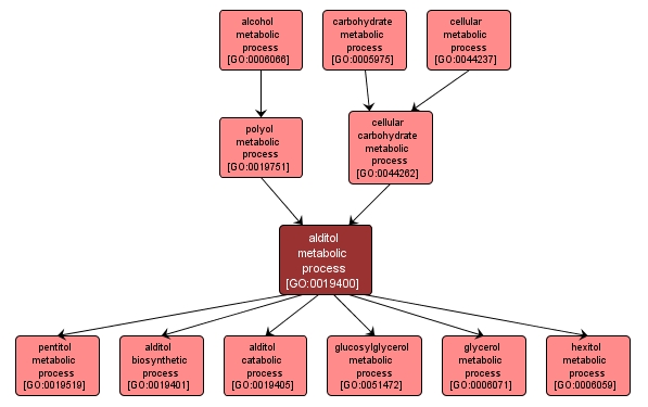 GO:0019400 - alditol metabolic process (interactive image map)