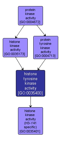 GO:0035400 - histone tyrosine kinase activity (interactive image map)