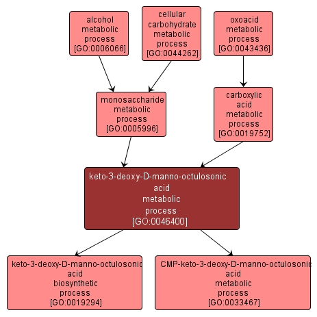 GO:0046400 - keto-3-deoxy-D-manno-octulosonic acid metabolic process (interactive image map)