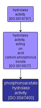 GO:0047400 - phosphonoacetate hydrolase activity (interactive image map)