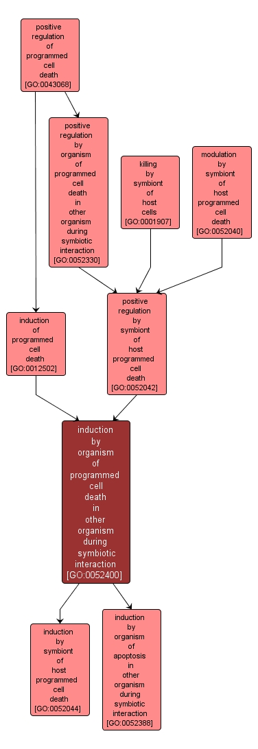 GO:0052400 - induction by organism of programmed cell death in other organism during symbiotic interaction (interactive image map)