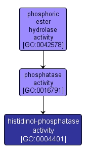 GO:0004401 - histidinol-phosphatase activity (interactive image map)