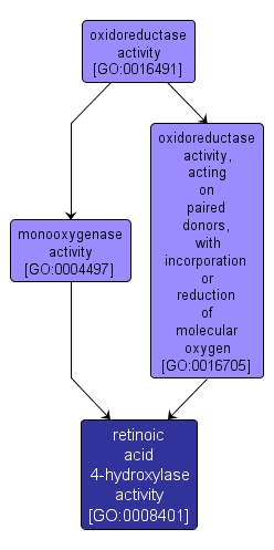 GO:0008401 - retinoic acid 4-hydroxylase activity (interactive image map)