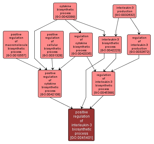 GO:0045401 - positive regulation of interleukin-3 biosynthetic process (interactive image map)