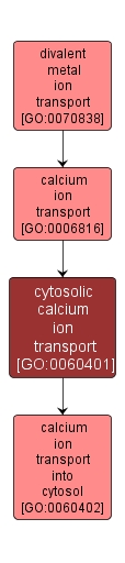 GO:0060401 - cytosolic calcium ion transport (interactive image map)