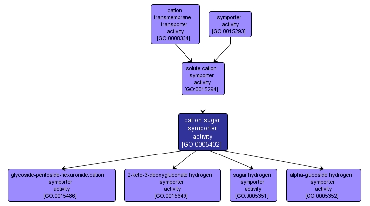 GO:0005402 - cation:sugar symporter activity (interactive image map)