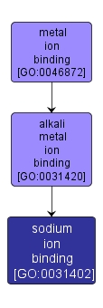 GO:0031402 - sodium ion binding (interactive image map)