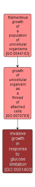 GO:0001403 - invasive growth in response to glucose limitation (interactive image map)