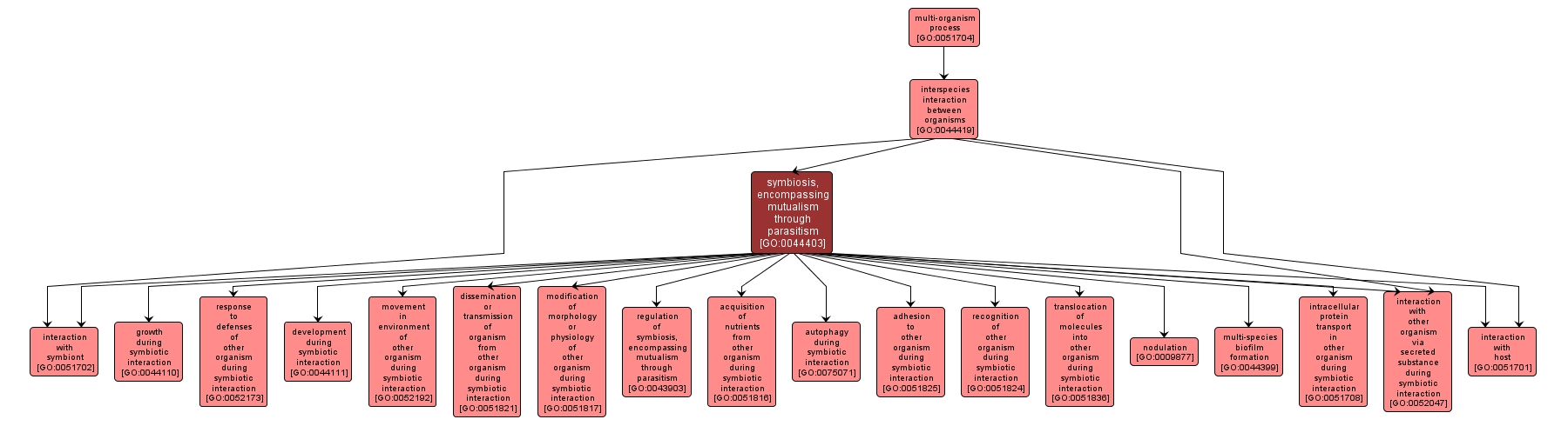 GO:0044403 - symbiosis, encompassing mutualism through parasitism (interactive image map)