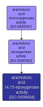 GO:0008404 - arachidonic acid 14,15-epoxygenase activity (interactive image map)