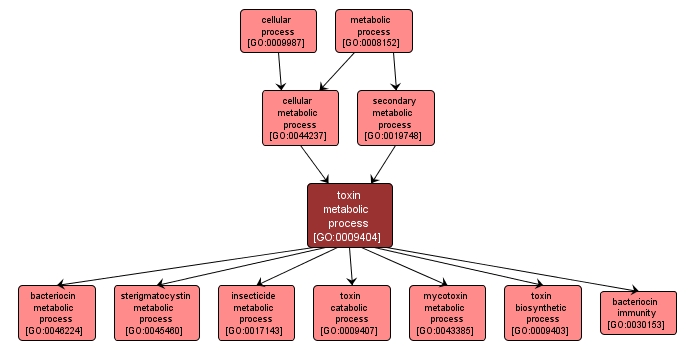 GO:0009404 - toxin metabolic process (interactive image map)