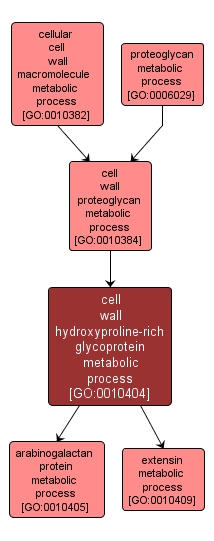 GO:0010404 - cell wall hydroxyproline-rich glycoprotein metabolic process (interactive image map)