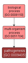 GO:0009405 - pathogenesis (interactive image map)