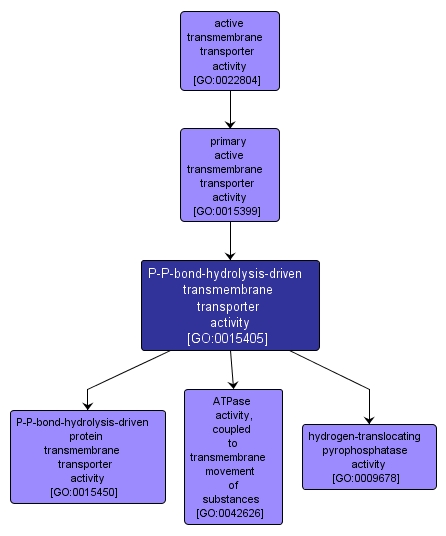 GO:0015405 - P-P-bond-hydrolysis-driven transmembrane transporter activity (interactive image map)
