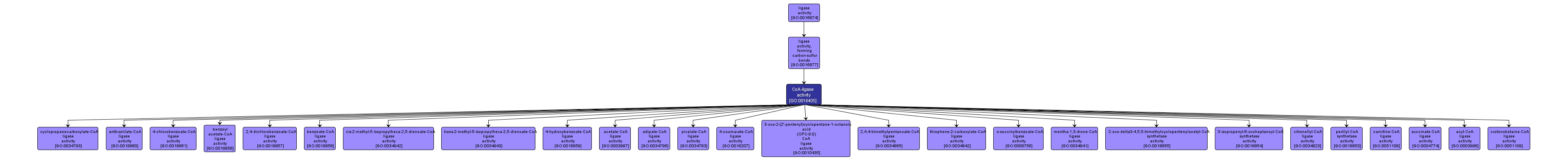 GO:0016405 - CoA-ligase activity (interactive image map)