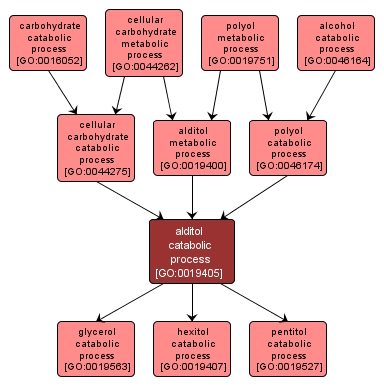 GO:0019405 - alditol catabolic process (interactive image map)