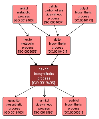 GO:0019406 - hexitol biosynthetic process (interactive image map)