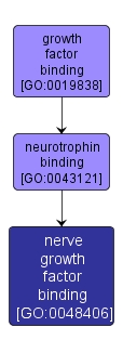 GO:0048406 - nerve growth factor binding (interactive image map)