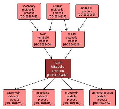 GO:0009407 - toxin catabolic process (interactive image map)