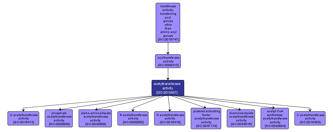 GO:0016407 - acetyltransferase activity (interactive image map)