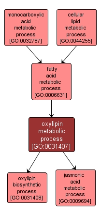 GO:0031407 - oxylipin metabolic process (interactive image map)