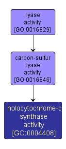GO:0004408 - holocytochrome-c synthase activity (interactive image map)