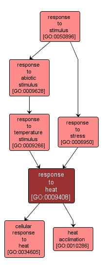 GO:0009408 - response to heat (interactive image map)
