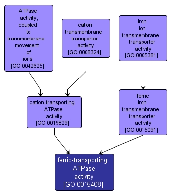 GO:0015408 - ferric-transporting ATPase activity (interactive image map)