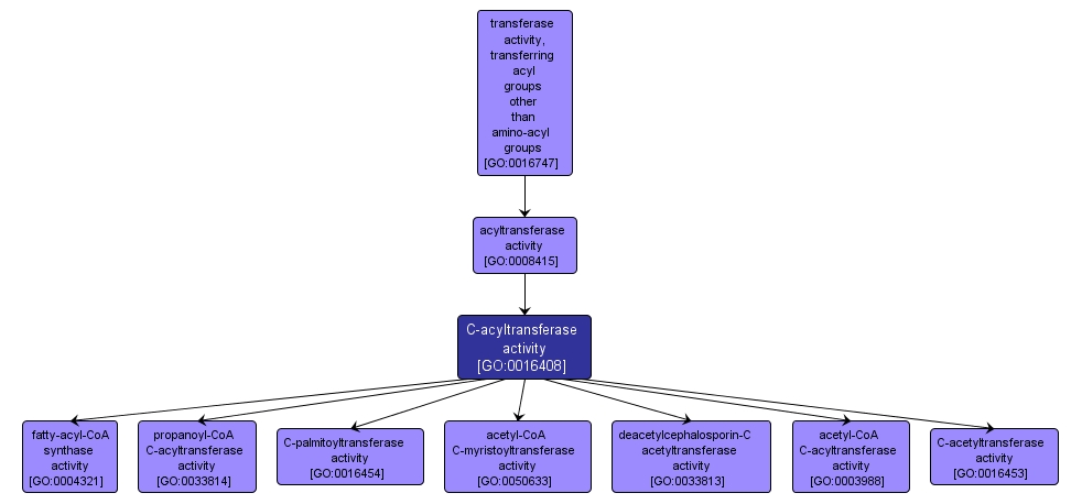 GO:0016408 - C-acyltransferase activity (interactive image map)