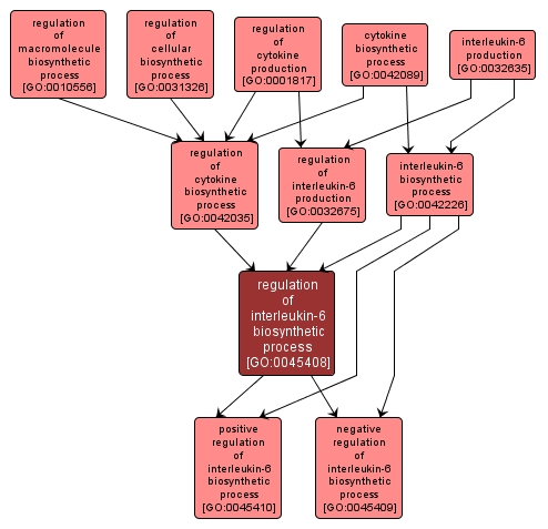 GO:0045408 - regulation of interleukin-6 biosynthetic process (interactive image map)