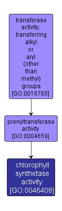 GO:0046408 - chlorophyll synthetase activity (interactive image map)