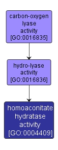 GO:0004409 - homoaconitate hydratase activity (interactive image map)